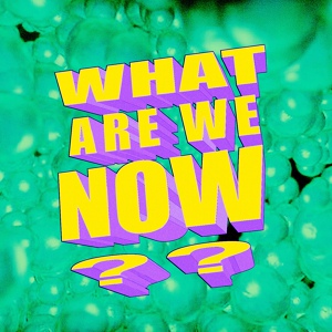 Обложка для New Beat Fund - What Are We Now?