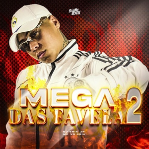 Обложка для Dj Erik Jp, MC VN Cria - Mega das Favela 2