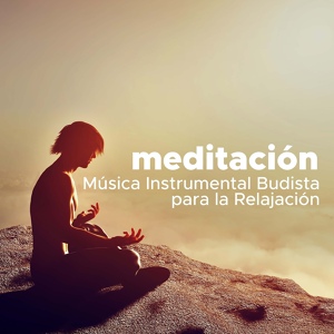 Обложка для Every Night Alder & Musica para Yoga Maestro - Música para Relajarse Totalmente