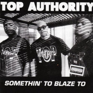 Обложка для Top Authority - On the Level