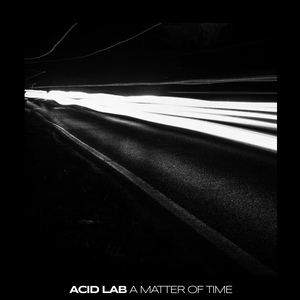 Обложка для Acid Lab - Into The Void
