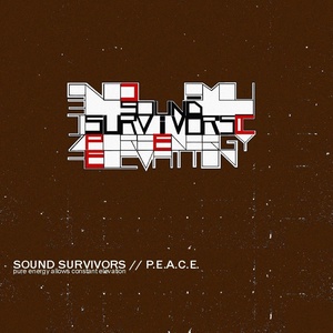Обложка для Sound Survivors - Departure