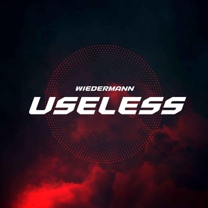 Обложка для wiedermann - Useless