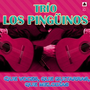 Обложка для Trío Los Pingüinos - En Mi Libro