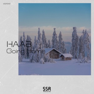 Обложка для HAAB - Going Home