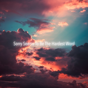 Обложка для Stephan Schleiner - Sorry Seems to Be the Hardest Word