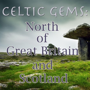 Обложка для The Great Celtic Notherners - Medley: Murphy's Folly