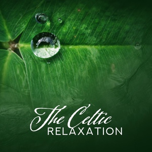 Обложка для Silent Meditation Zone - De-Stress Song