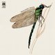 Обложка для Strawbs - Dragonfly