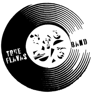 Обложка для True flavas band - Double Trouble