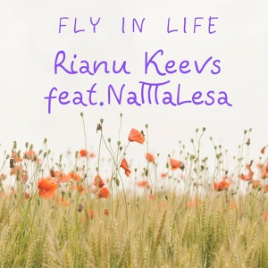 Обложка для Rianu Keevs feat. NаТаLesa - Fly in Life