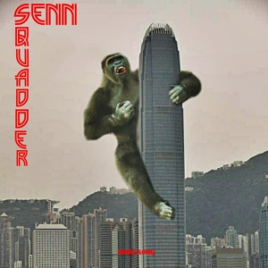 Обложка для SENN (feat. SQUADDER) - Hong Kong
