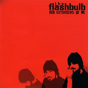 Обложка для The Flashbulb - Lawn Wake III