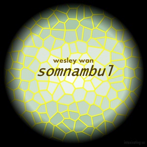 Обложка для Wesley Wan - Somnambul