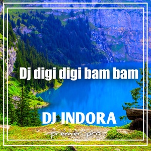 Обложка для DJ Indora - DJ Digi Digi Bom Bom - Inst