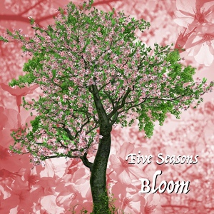 Обложка для Five Seasons - Isla Bonita
