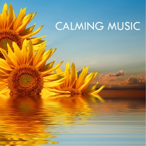 Обложка для Calming Music Academy - Before Sunrise Relax Music