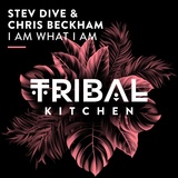 Обложка для Stev Dive, Chris Beckham - I Am What I Am