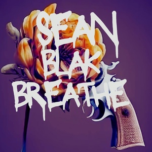 Обложка для Sean Blak - Breathe