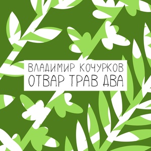 Обложка для Владимир Кочурков - Папоротник