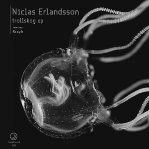 Обложка для Niclas Erlandsson - Trollskog
