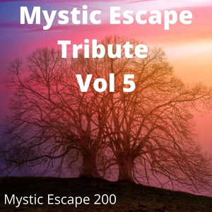 Обложка для Mystic Escape 200 - Rumors (Karaoke Tribute Version Originally Performed By Lizzo and Cardi B)