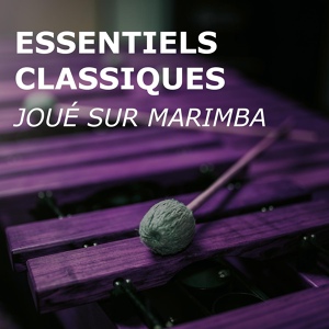 Обложка для Marimba Guy, Musique Classique Instrumentale, Musique Classique - Hymne au champagne (La Chauve-Souris)