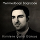 Обложка для Memmedbagir Bagirzade - Aqşin