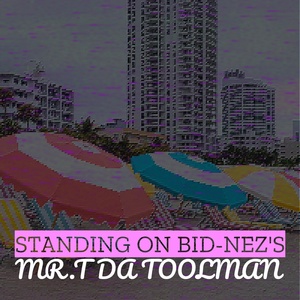 Обложка для MR.T Da Toolman - Standing on Bid-Nez's