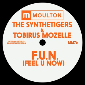 Обложка для Tobirus Mozelle, The SyntheTigers - F.U.N. (Feel U Now)