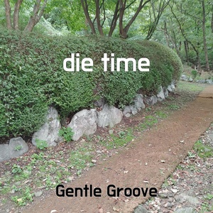 Обложка для Gentle Groove - die time
