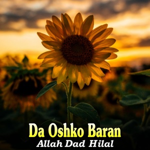 Обложка для Allah Dad Hilal - Da Din Bala Dewa Da