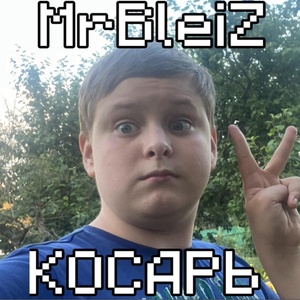 Обложка для MrBleiZ - Косарь