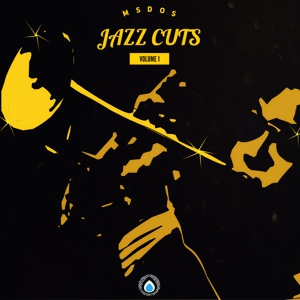 Обложка для mSdoS - Jazz Splices