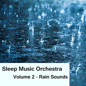 Обложка для Sleep Music Orchestra - Rain 8