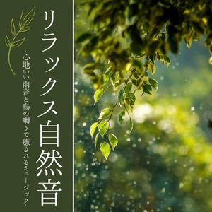 Обложка для 自然の音 Star - 雨の日の静寂