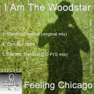 Обложка для I Am The Woodstar - Chicago Hope