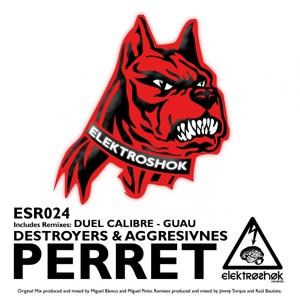 Обложка для Destroyers, Aggresivnes - Perret