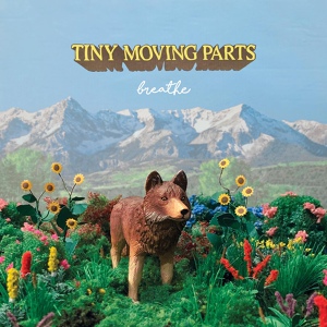 Обложка для Tiny Moving Parts - Soft Spot