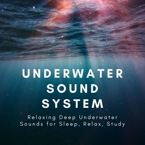 Обложка для Underwater Sounds Specialists - Quiet Calm