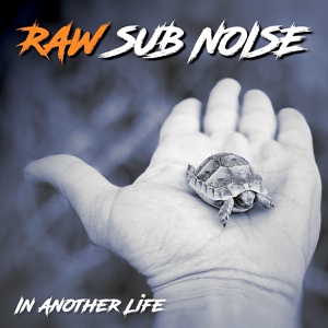 Обложка для Raw Sub Noise - In Another Life