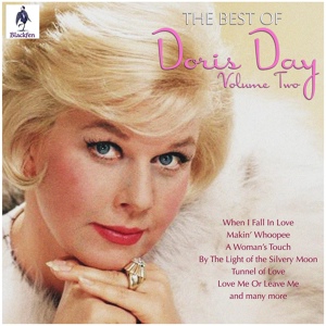 Обложка для Doris Day & Howard Keel - Ain't We Got Fun? [Remake]
