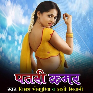 Обложка для Vikash Bhojpuriya, Shashi Siwani - Patari Kamar