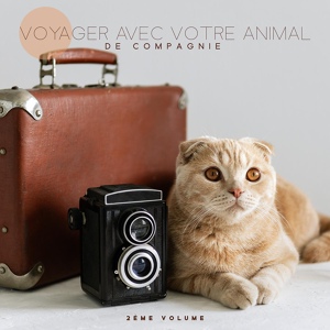 Обложка для Oasis de sommeil feat. Pet Music Academy - Aire de jeux paisible de musique pour animaux de compagnie