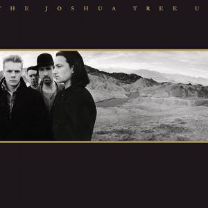 Обложка для U2 - Luminous Times (Hold On To Love)
