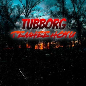Обложка для TUBBORG - Электро ночь
