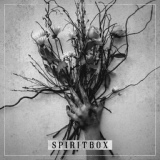 Обложка для Spiritbox - Aphids