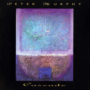 Обложка для Peter Murphy - Disappearing