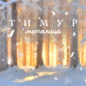 Обложка для Тимур - Метелица