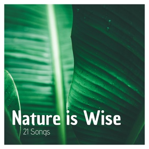 Обложка для Nature Sounds Studio - Waterfall